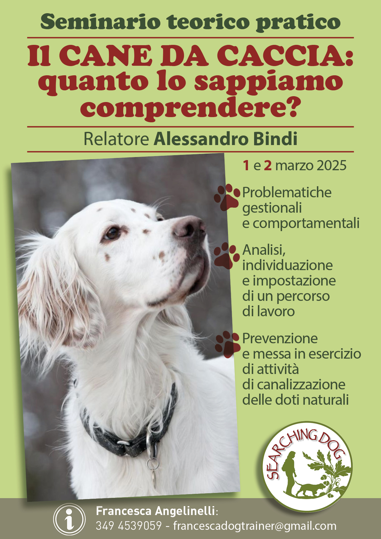 Il cane da caccia: quanto lo sappiamo comprendere?