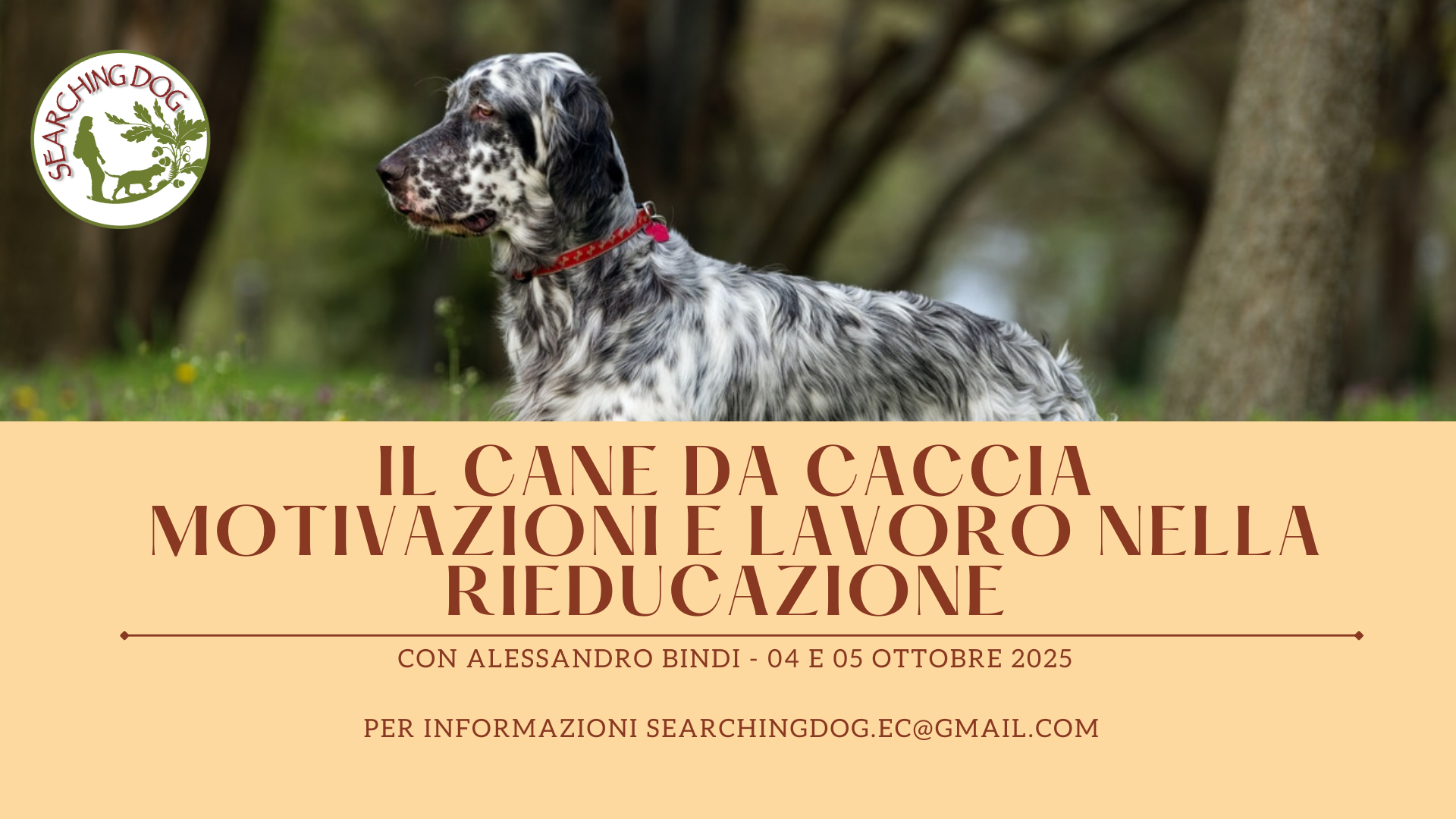 Il cane da caccia: motivazioni e lavoro nella rieducazione